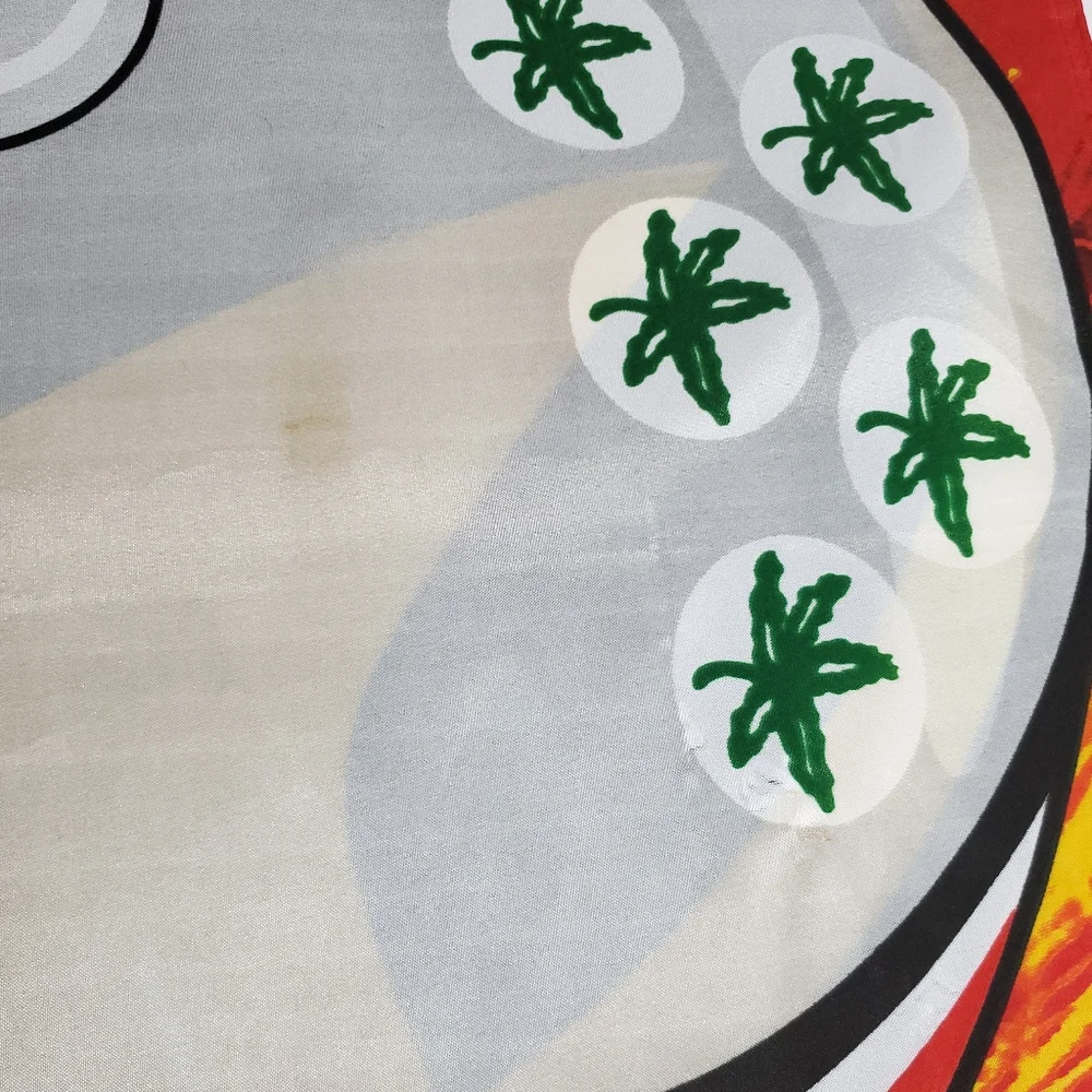 Ohio State X Michigan Football House Divided Banner